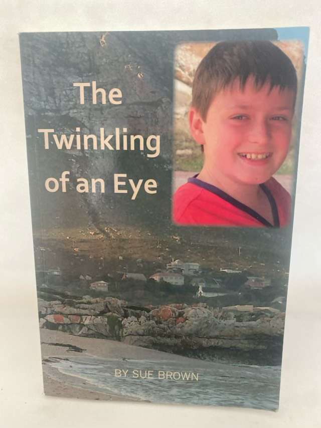 The Twinkling Of An Eye - Sue Brown