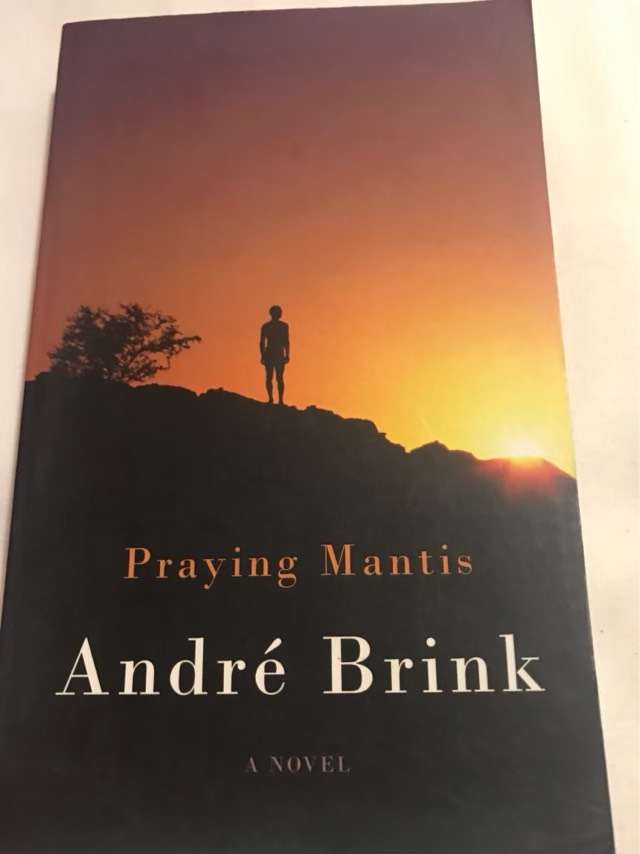 Praying Mantis - Andr Philippus Brink