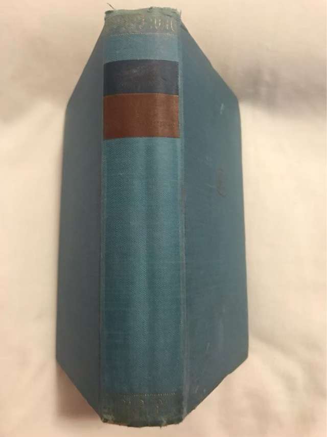 Menschliches Allzumenschliches - Friedrich Nietzsche