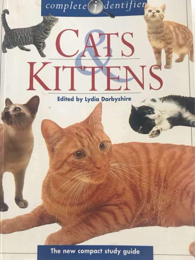 Cats and kittens, Complete identifier. - Lydia Darbyshire Ed.
