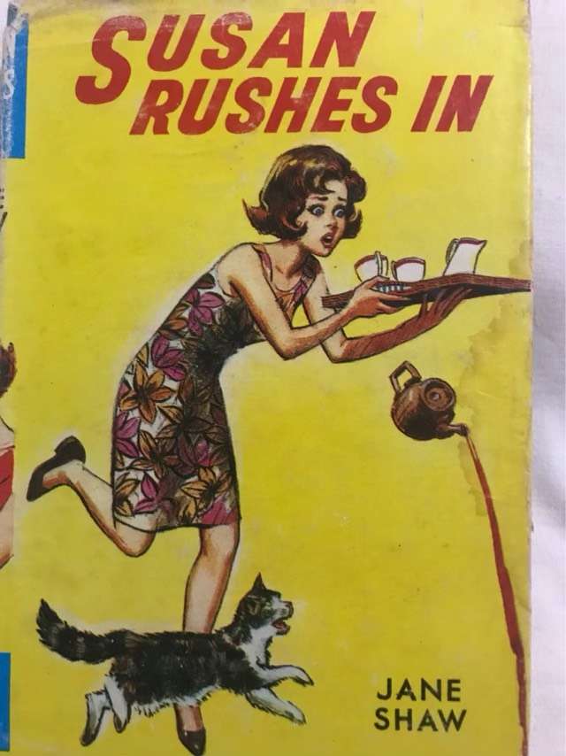 Susan Rushes In - Jane Shaw