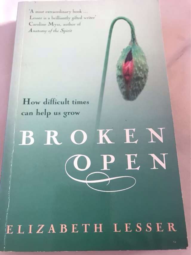 Broken Open, How Difficult Times Can Help Us Grow - Elizabeth Lesser