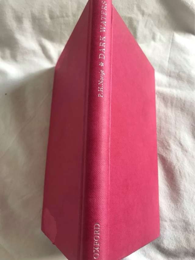 Dark Waters - P.H.Nortje