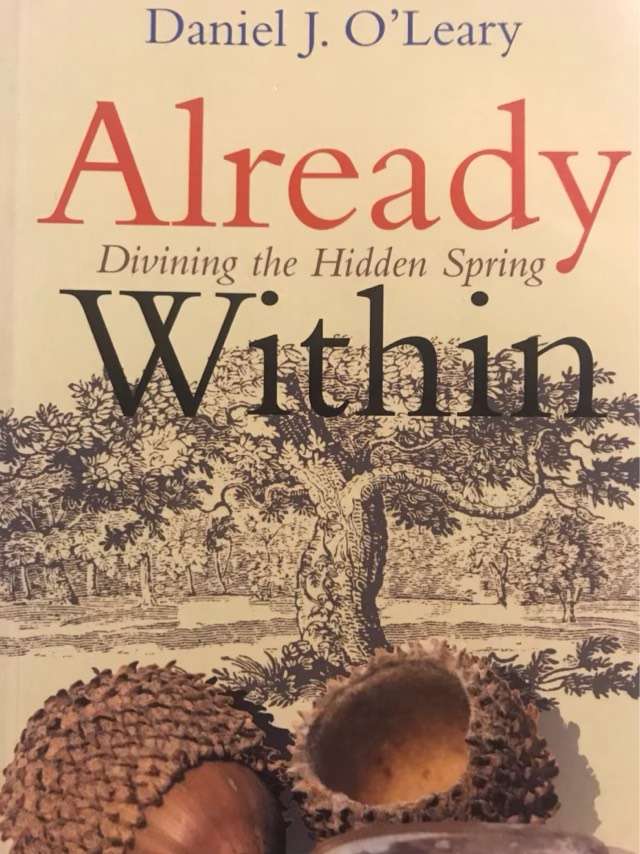 Already Within, Divining the Hidden Spring - Daniel J. O'Leary