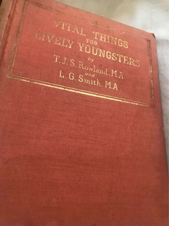 Vital Things for Lively Youngsters - Rowland & Smith