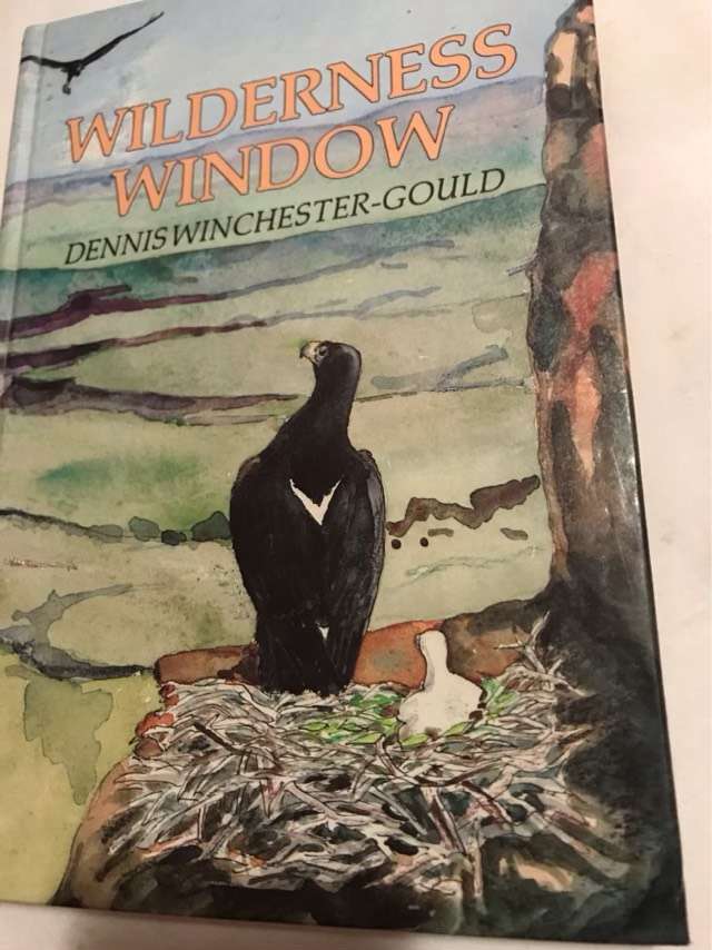 Wilderness window - Dennis Winchester-Gould
