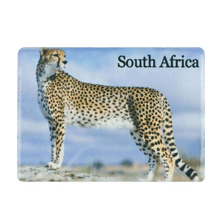 Magnet Cheetah South Africa Flag