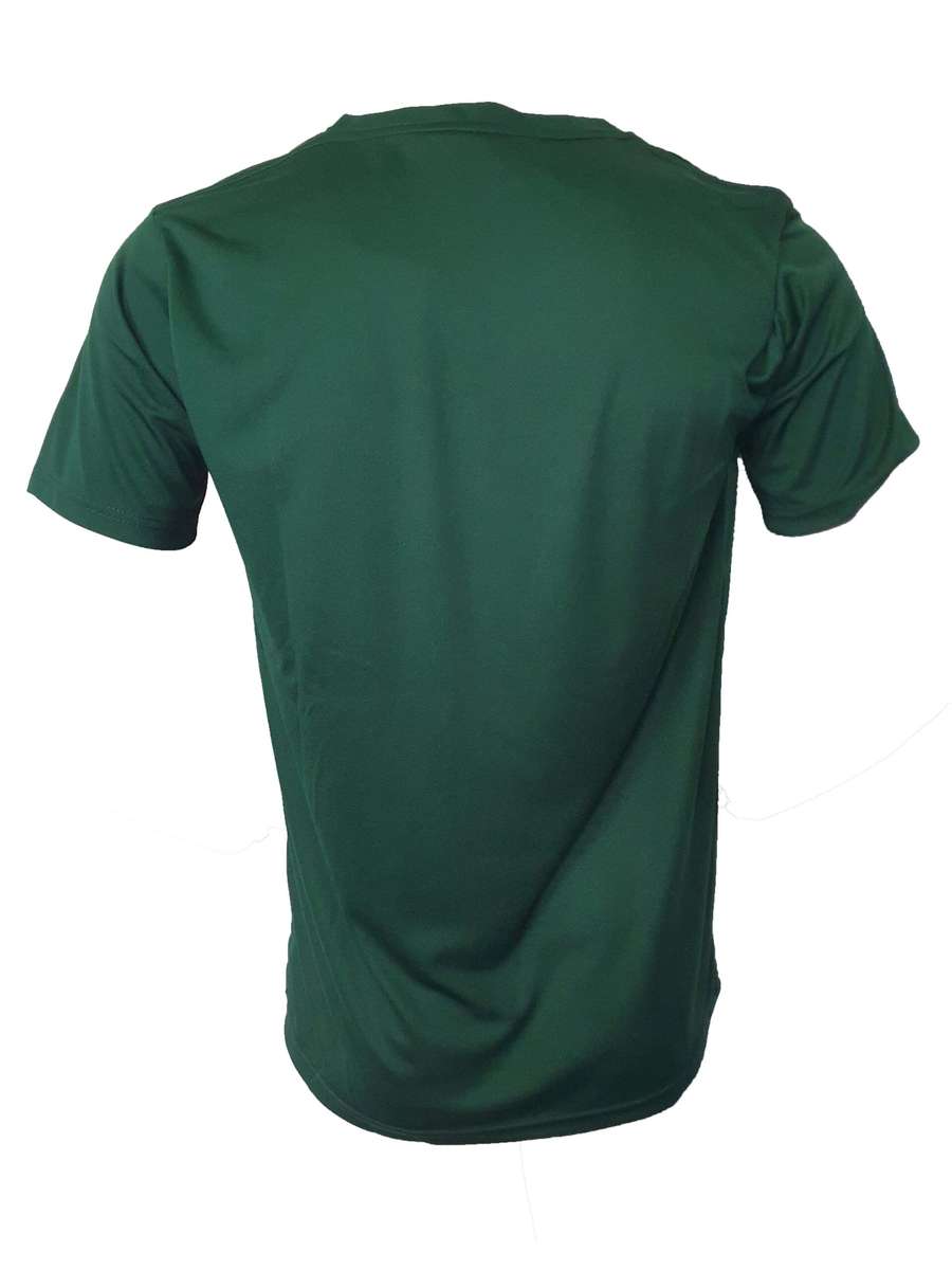 Mens T Shirt Springboks Poly