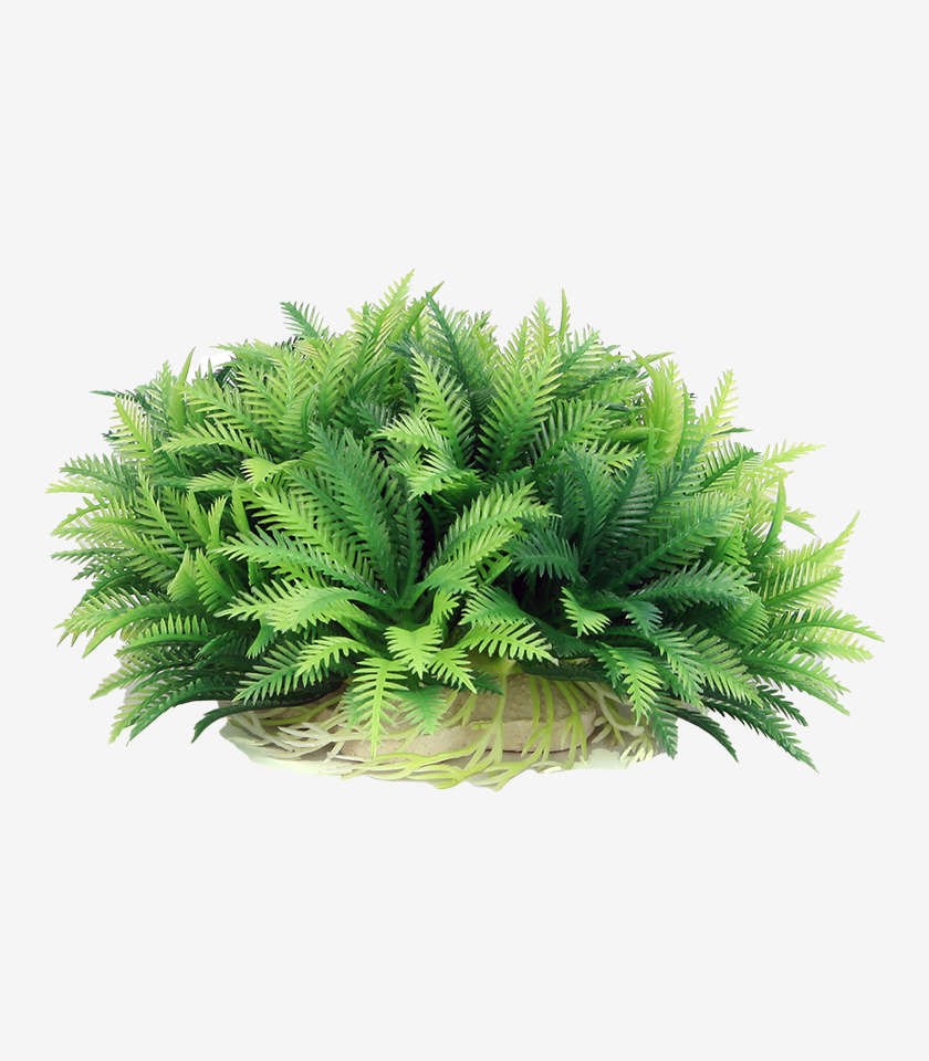 Green Bush Aquarium Decoration | Zugo | Lifelike Fish Tank Plant Ornament (14cm)