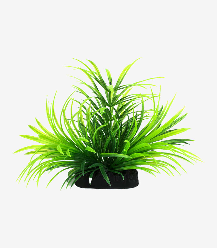 Green Fern Aquarium Decoration | Zugo | Realistic Fish Tank Plant Ornament (10cm)