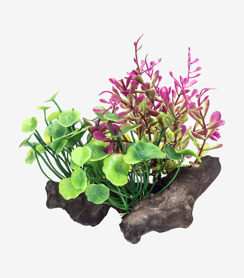 Timber Garden Aquarium Decoration | Zugo | Realistic Woodland Fish Tank Ornament (17cm)