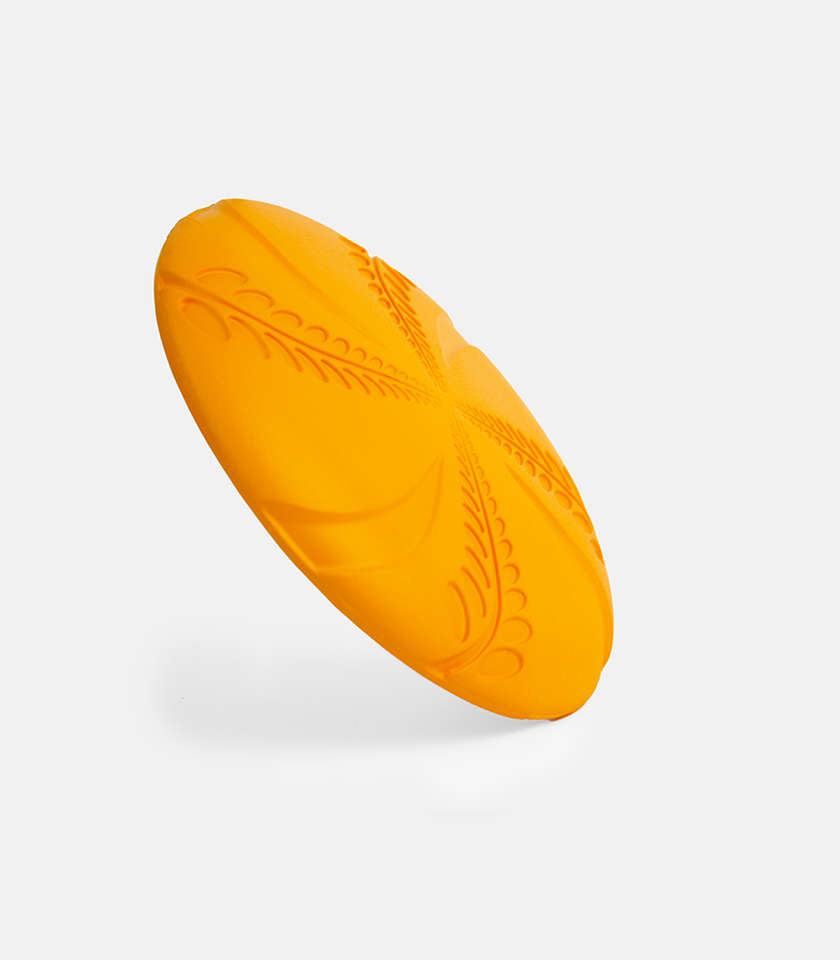 Aeroglide EVA Dog Toy | Zugo | Floating Lightweight Flying Disc for Dogs