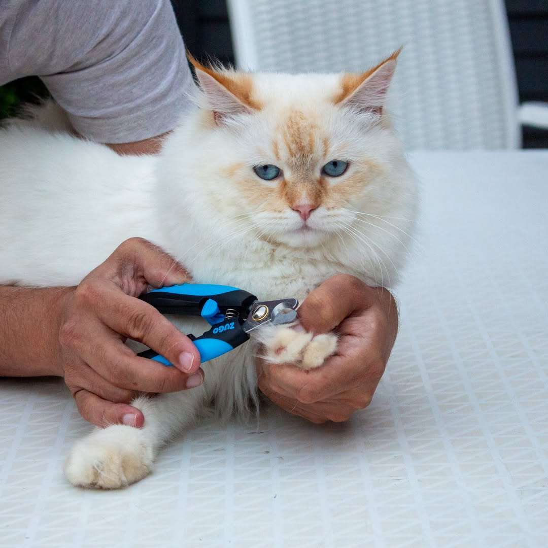 Cat Claw Clipper  Small | Gentle, Precise Trimming for Small Cats