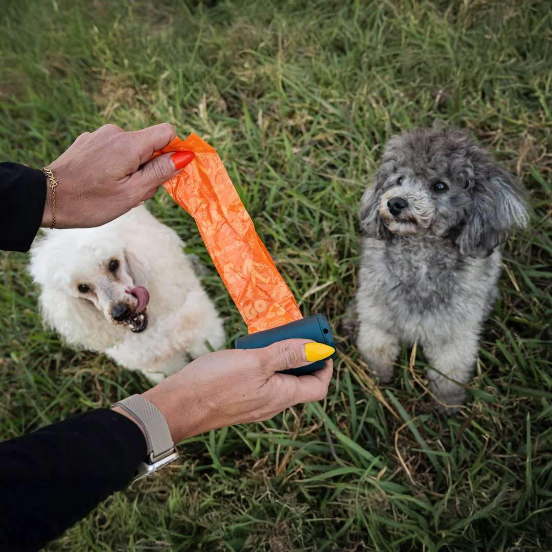 Zugo Eco-Friendly Dog Poop Bags  4 Rolls (60 Bags) | Zugo | 65% Recycled Material | Leak-Proof...