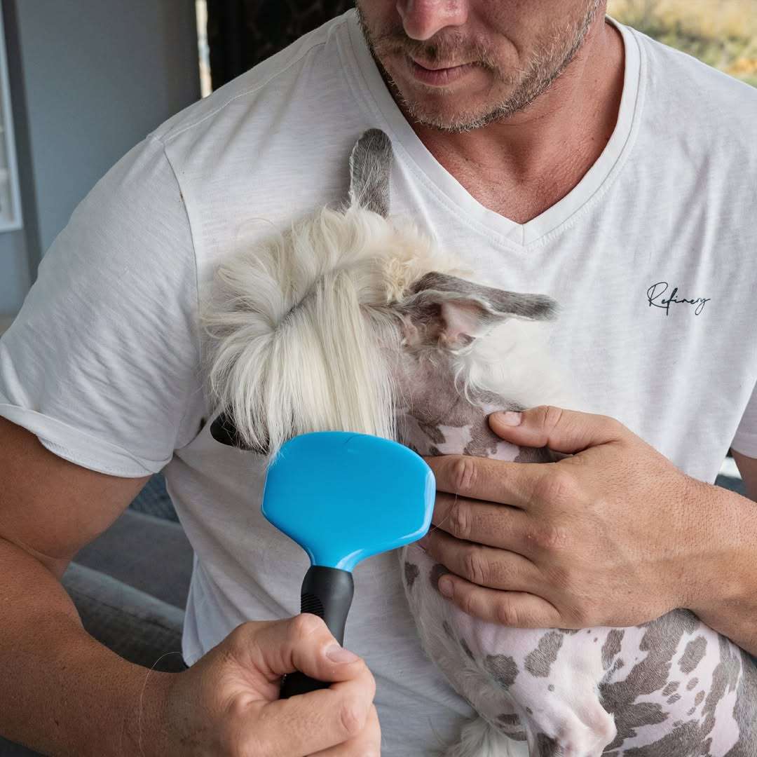 Slick Dog Brush  Large | Sturdy, Ergonomic Grooming for Larger Dogs