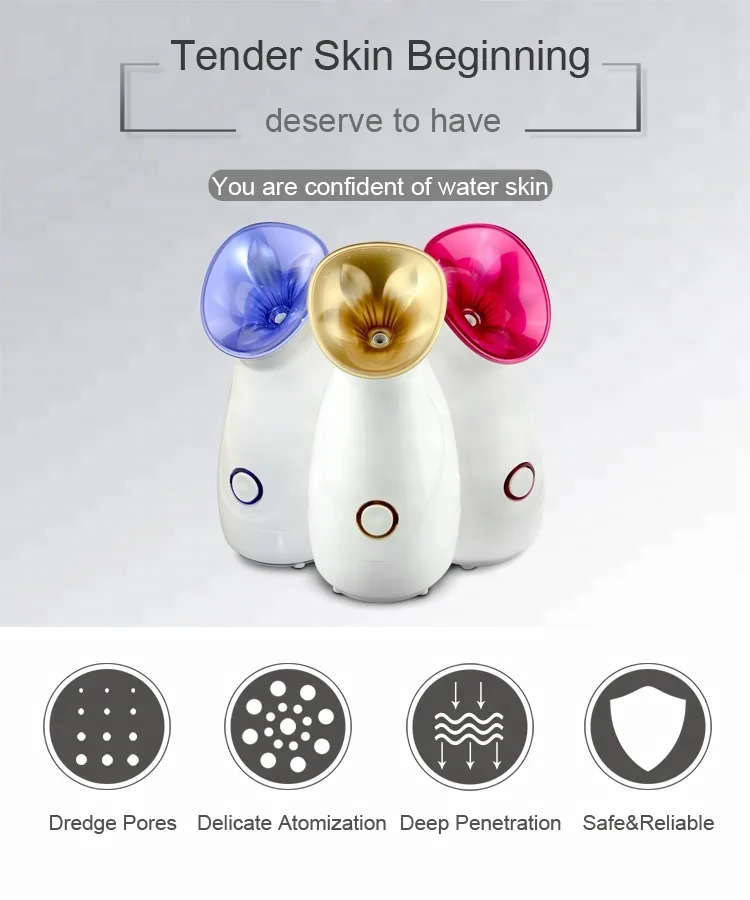 LAITESI FACIAL IRONIC STEAMER