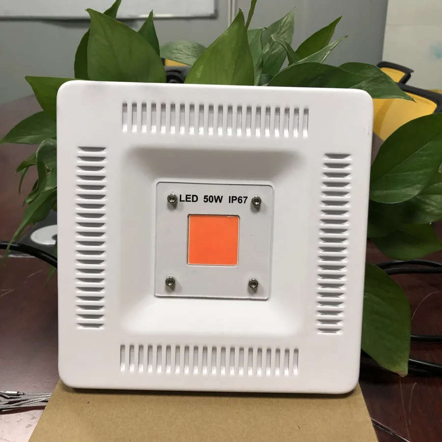 2019 New Quantum Board Plant Full Spectrum 50W COB LED Grow Light