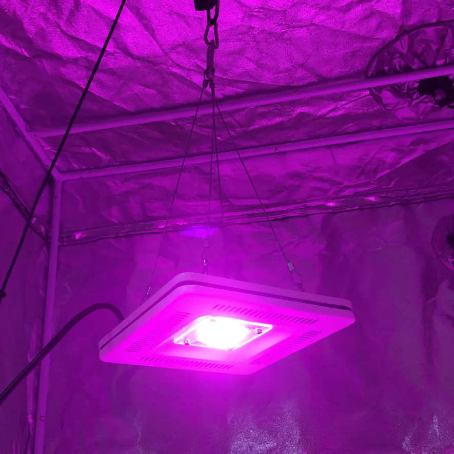 2019 New Quantum Board Plant Full Spectrum 50W COB LED Grow Light