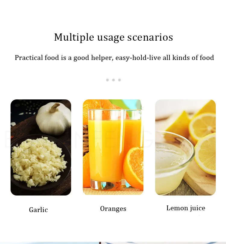 Stainless Steel Potato Ricer