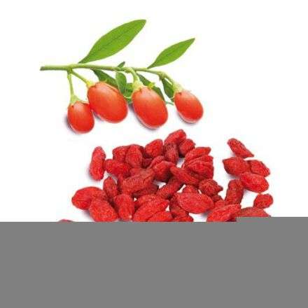Red Goji Berry - 10 Seeds