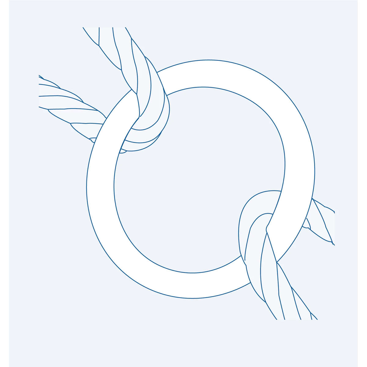 SF317 Welded Round Ring