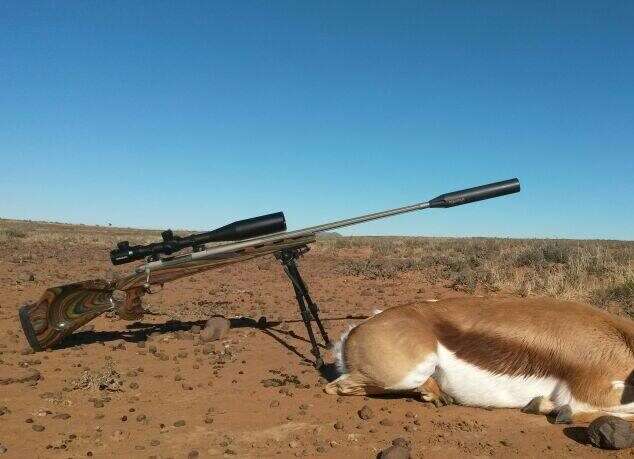 Mute Silencers: Standard Range