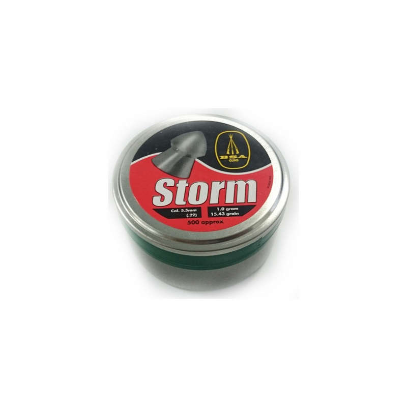BSA Pro-Magnum Storm 5.5mm /500