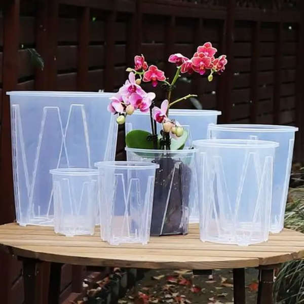 Clear Plastic Orchid/Aroid Pots Set of 6 (Choose Your Size)