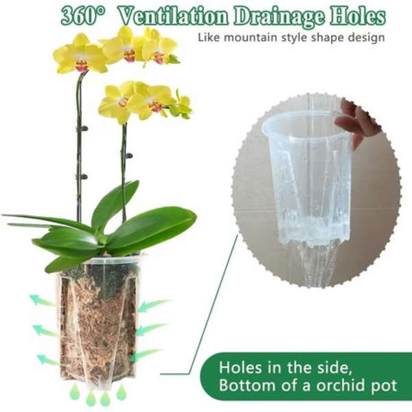 Clear Plastic Orchid/Aroid Pots Set of 6 (Choose Your Size)