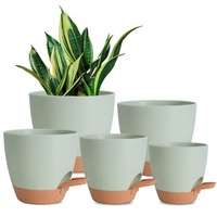 5-Piece Self-Watering Polypropylene Planter Set - (12.5cm to 17cm)