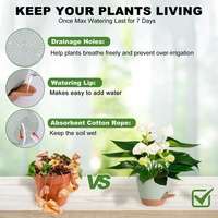 5-Piece Self-Watering Polypropylene Planter Set - (12.5cm to 17cm)