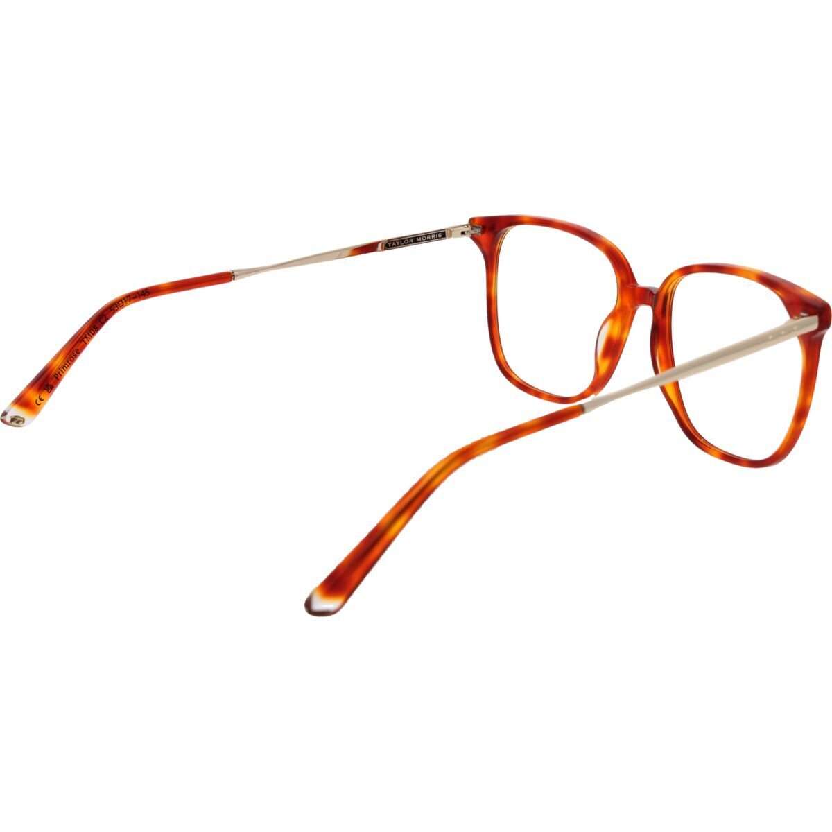 Taylor Morris Unisex Eyeglasses (TM08 53C2)