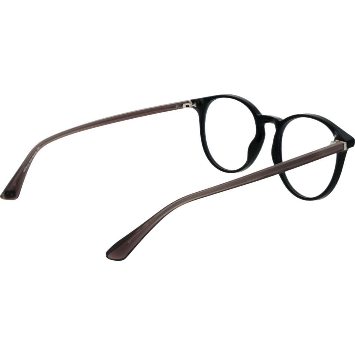Web Unisex Eyeglasses (WE5404 52005)