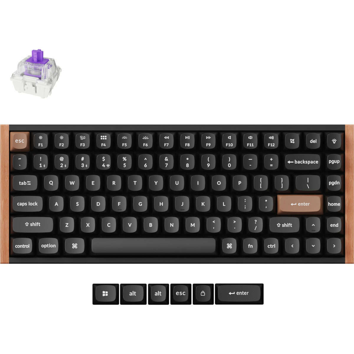 Keychron K2 HE Wireless Special Edition Magnetic Custom Keyboard | NEBULA Switch  Black