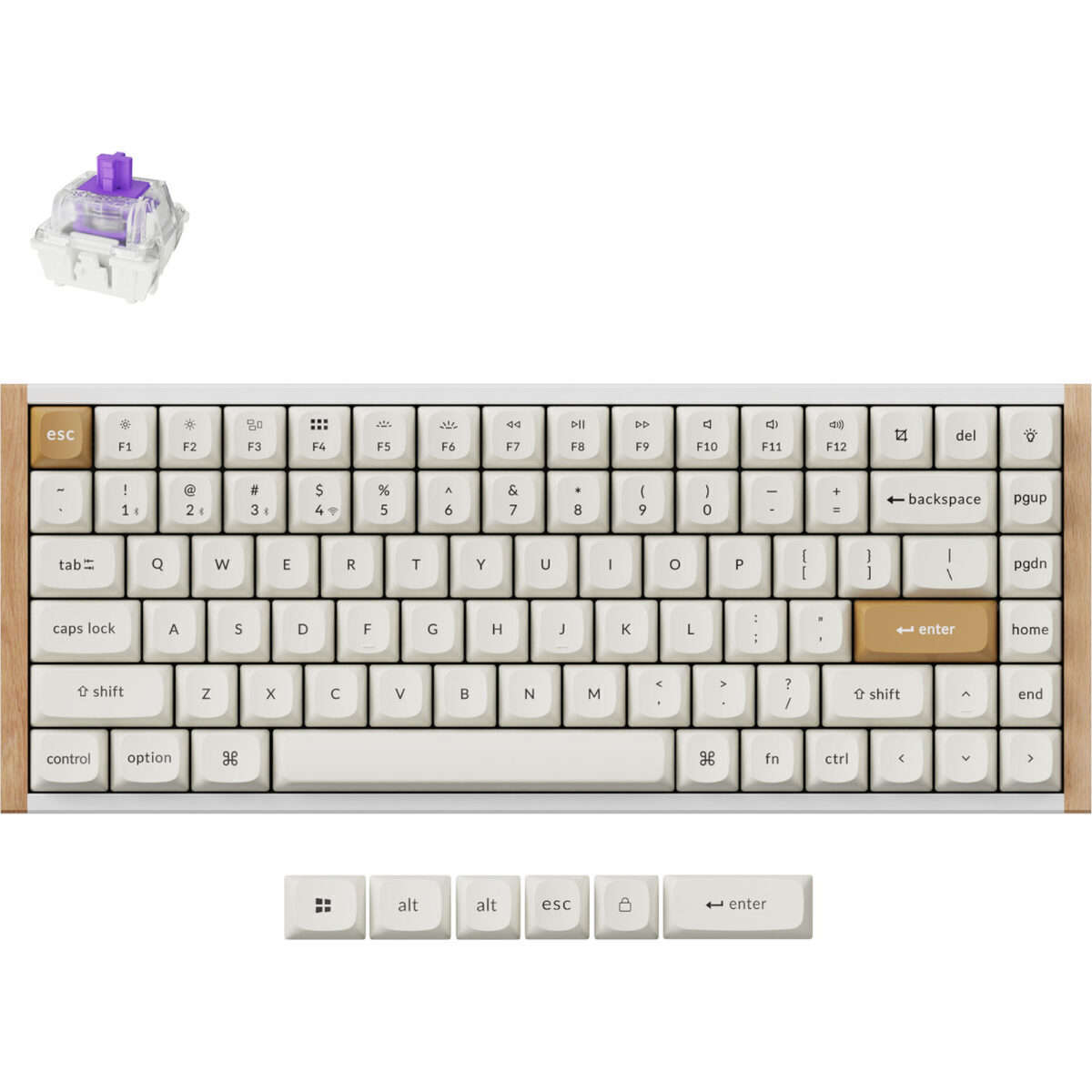 Keychron K2 HE Wireless Special Edition Magnetic Custom Keyboard | NEBULA Switch  White