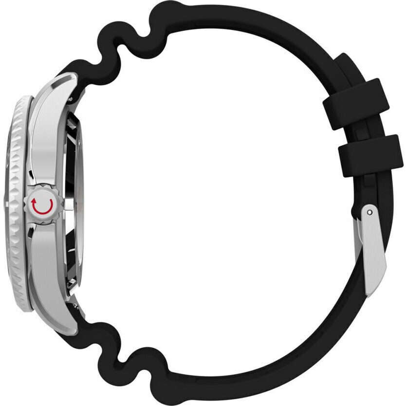 Timex Men's Watch (TW2Y40000)