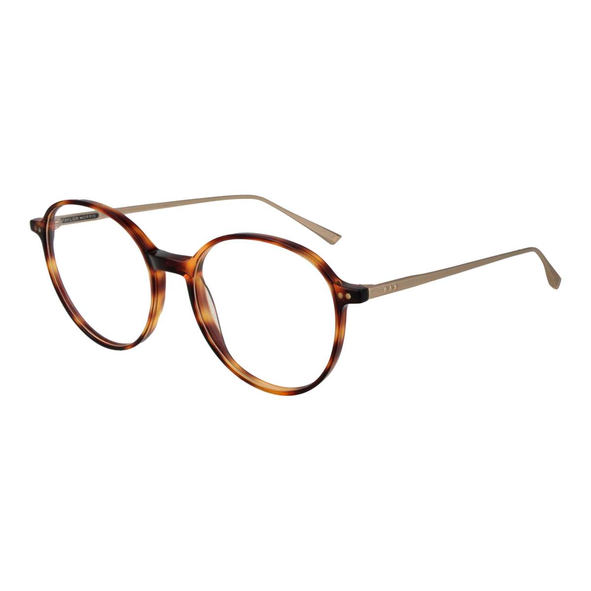 Taylor Morris Unisex Eyeglasses (SW15 C2)