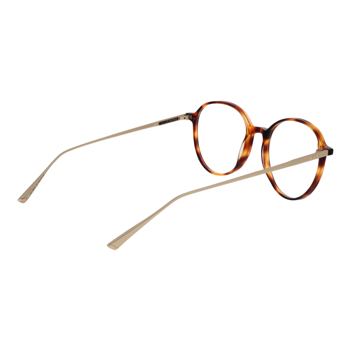Taylor Morris Unisex Eyeglasses (SW15 C2)
