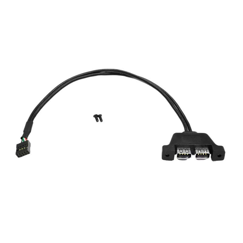 ASRock Desk Mini 2 x USB 2.0 interface Adapter Cable