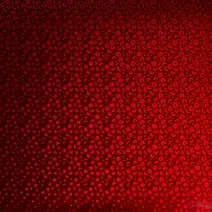 2006628 - Cricut PREMIUM Vinyl ART DECO TRUE Red 12X48