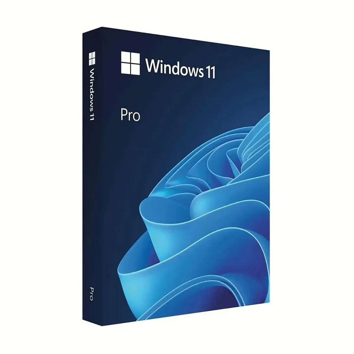 Microsoft Windows 11 Pro DVD Single User License