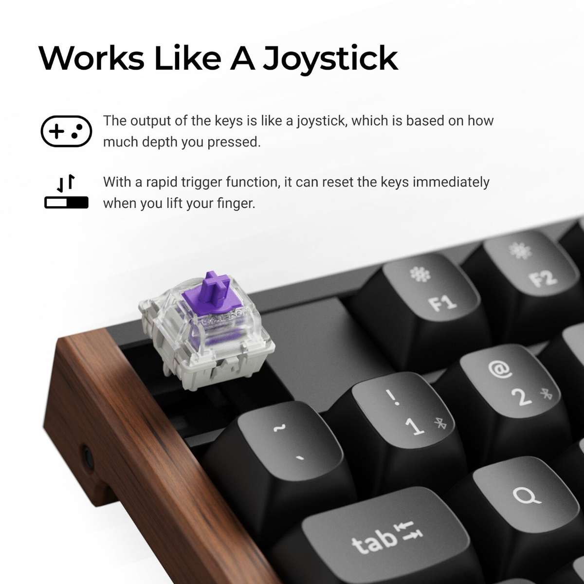 Keychron K10 HE 100% Wireless Magnetic Gaming Keyboard Nebula Switches  Black