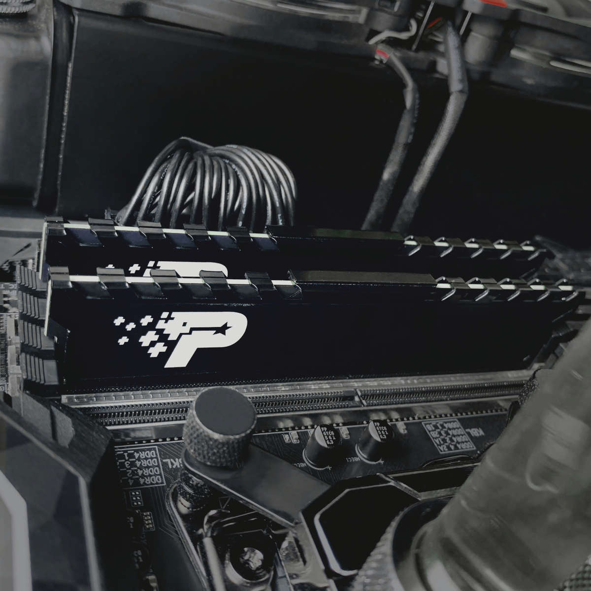 Patriot Signature Premium Line DDR4 16GB 3200MHz UDIMM
