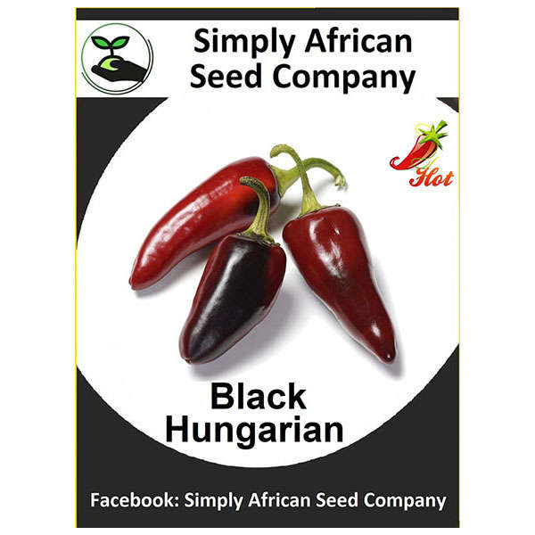 Black Hungarian Chilli Seeds