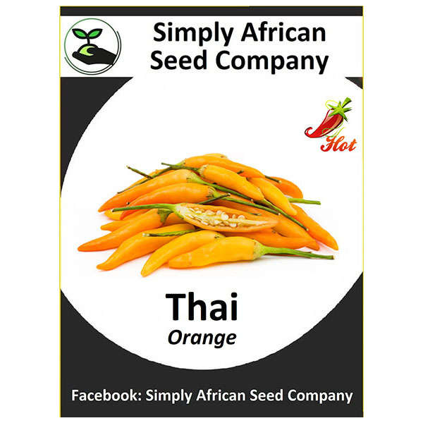 Thai Orange Chilli Seeds