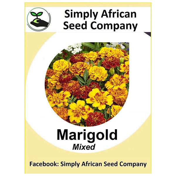 Marigold Seeds