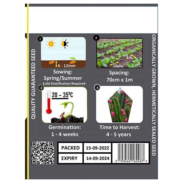 Peruvian Apple Seeds