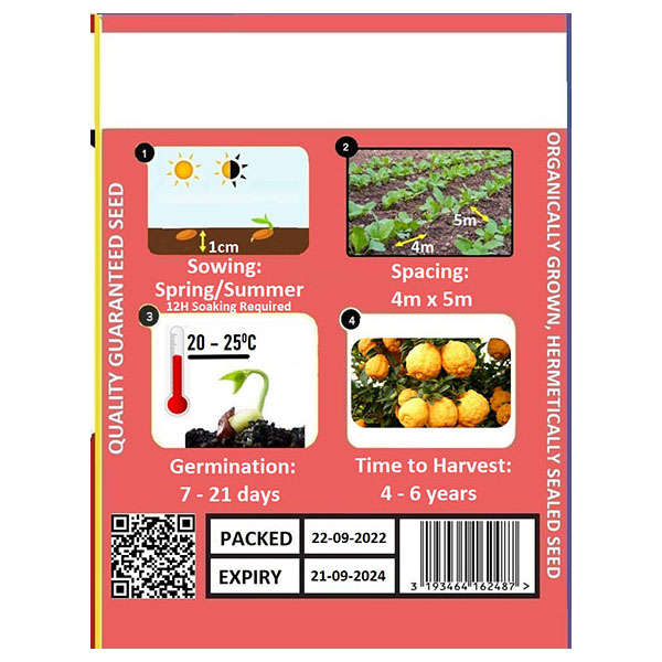 Lemon Cape Rough 6's