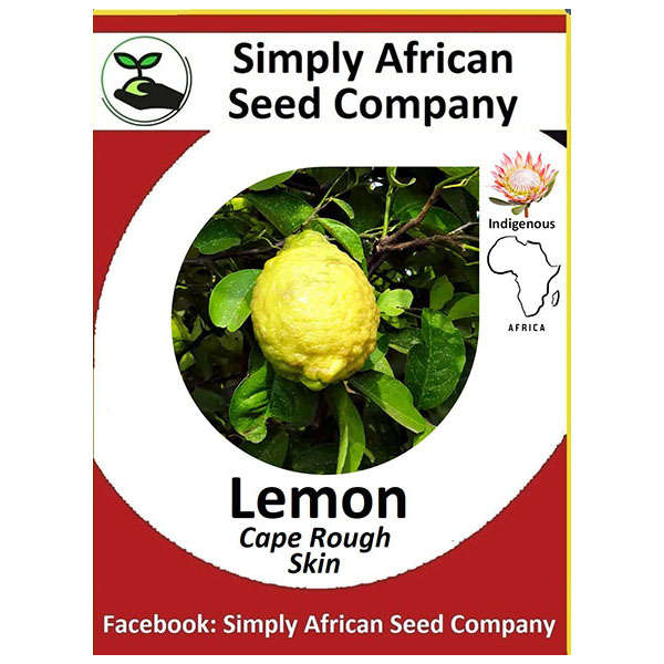 Lemon Cape Rough 6's