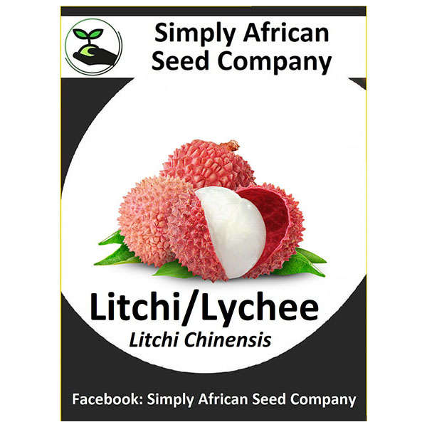 Litchi/Lychee Seeds